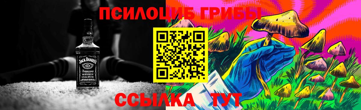 Красноуфимск  Галлюциногенные грибы GOLDEN TEACHER  Вход с VPN 